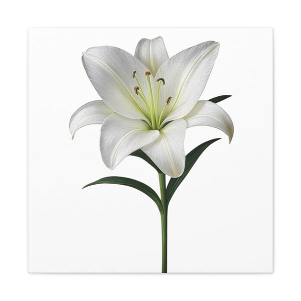 Clarity Blooms