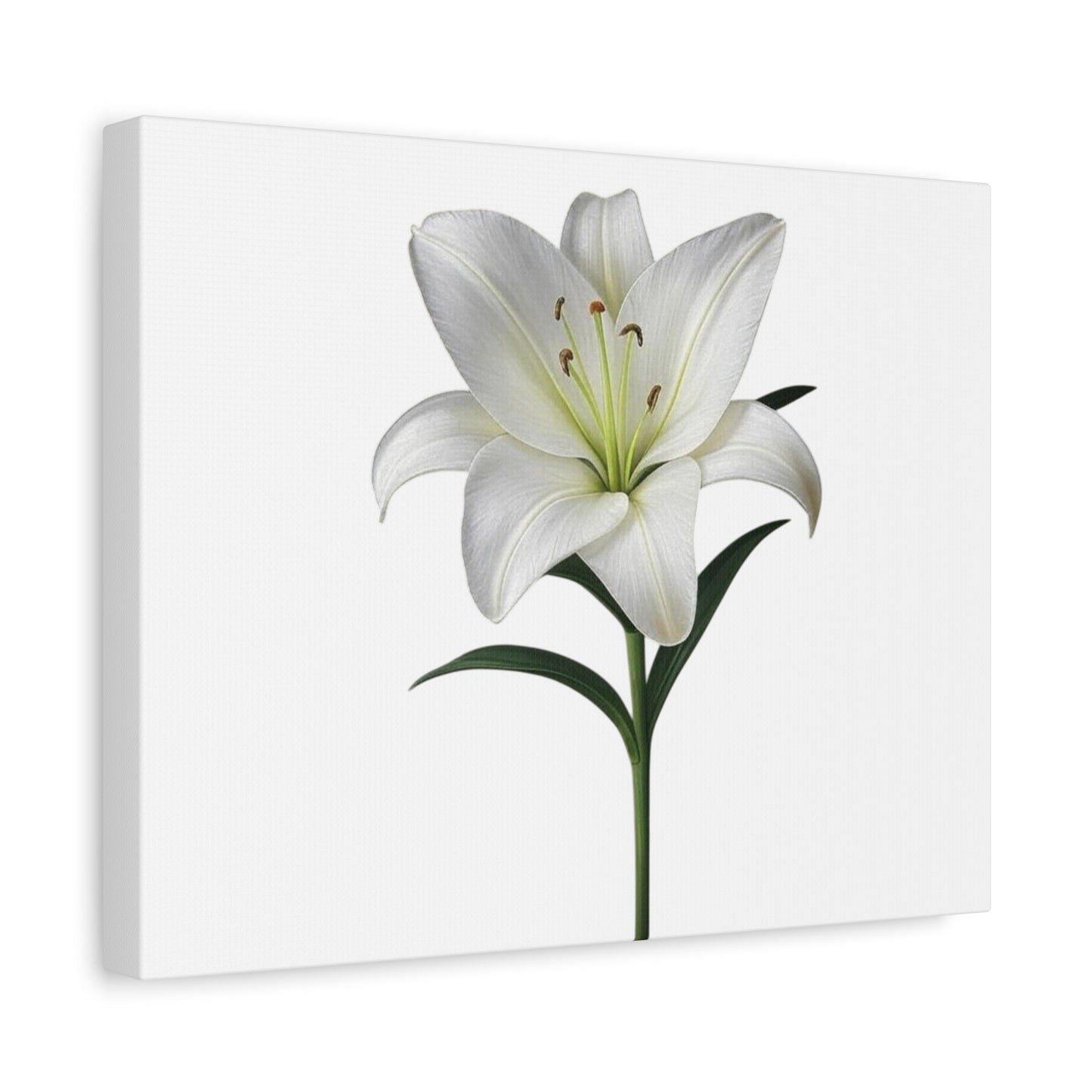 Lily Flower Canvas Wall Art