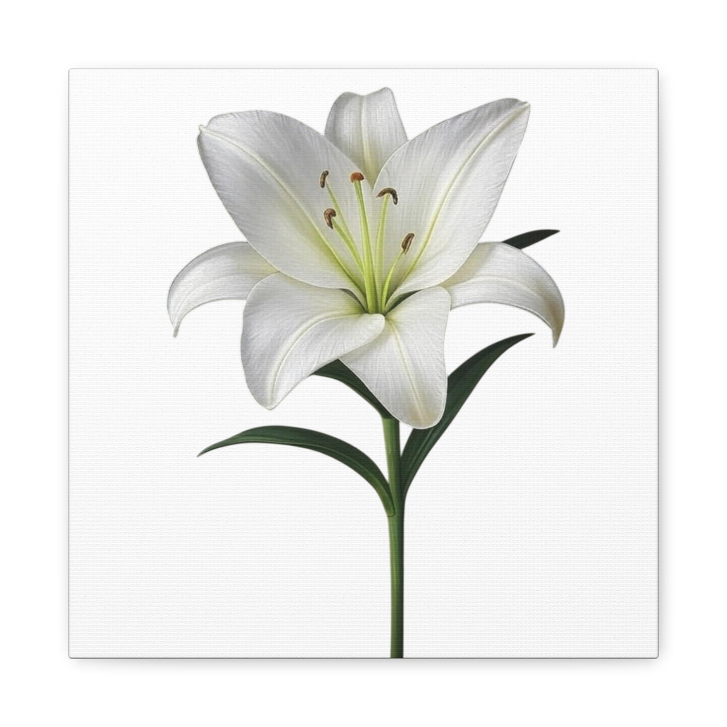 Lily Flower Canvas Wall Art