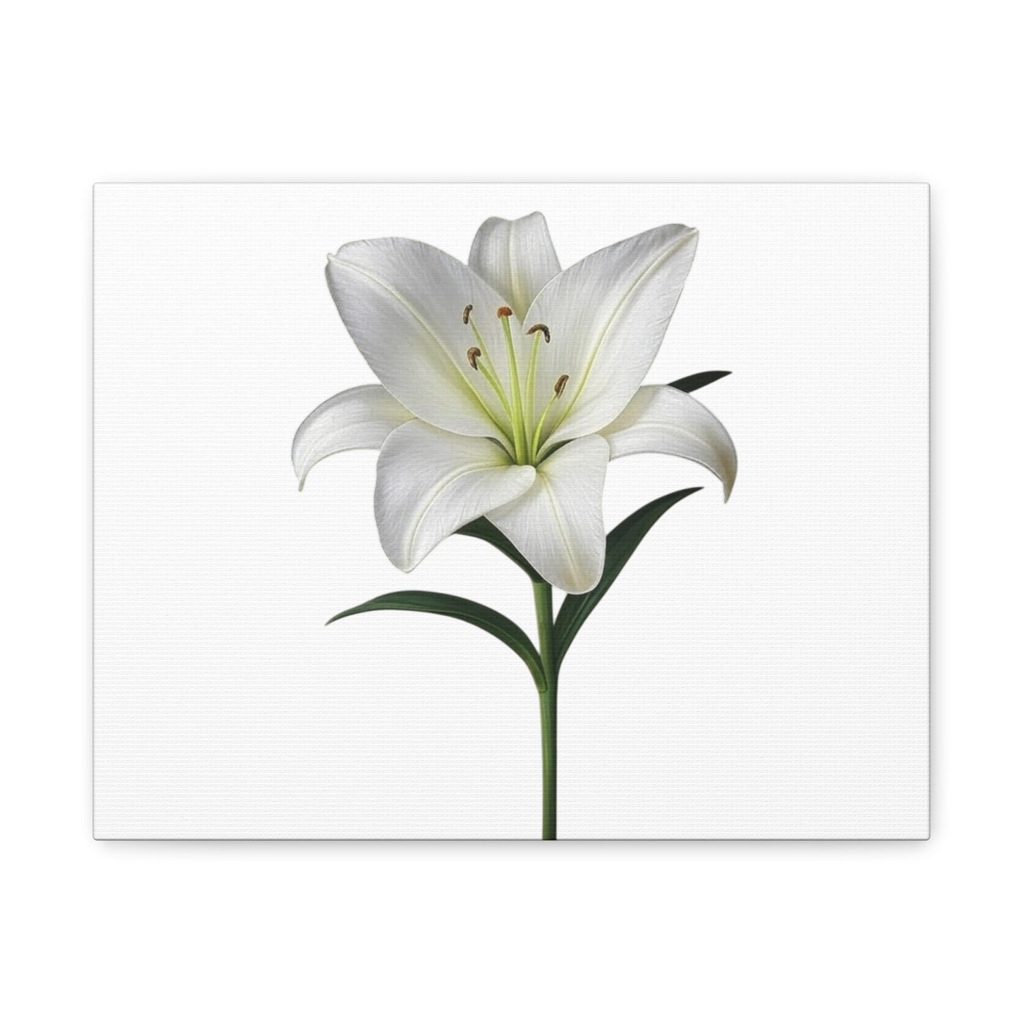 Lily Flower Canvas Wall Art