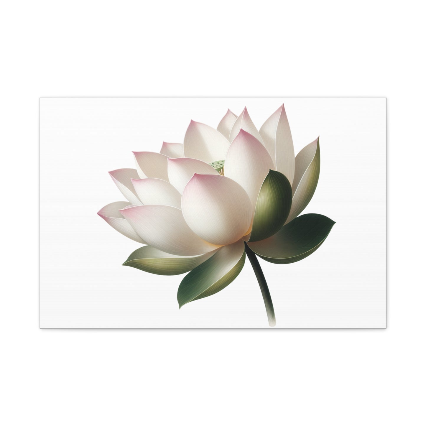 Lotus Flower Canvas Wall Art