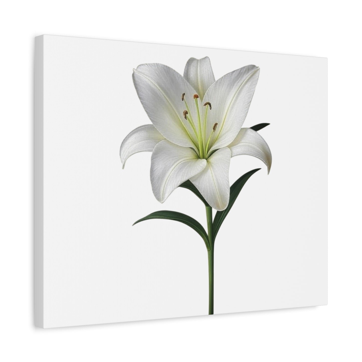 Lily Flower Canvas Wall Art