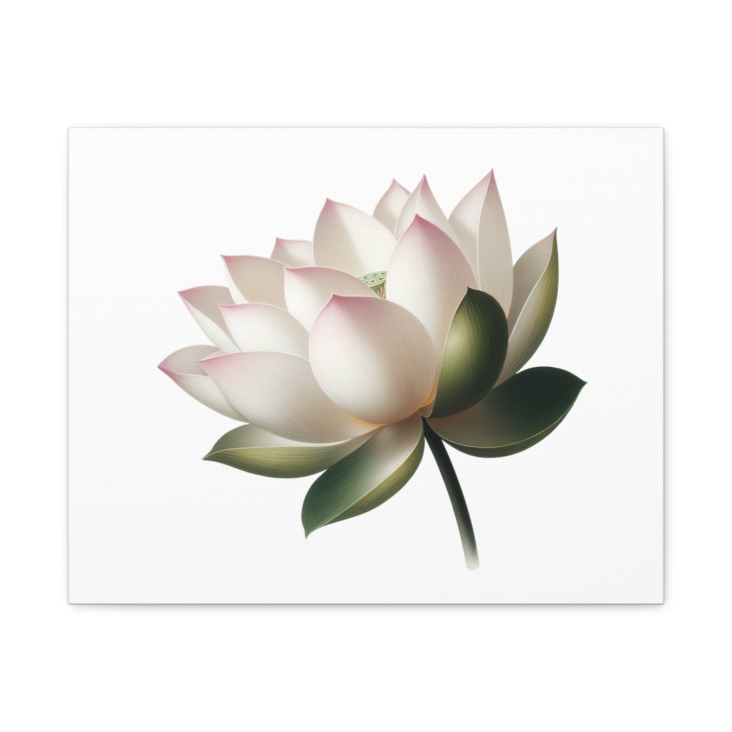 Lotus Flower Canvas Wall Art