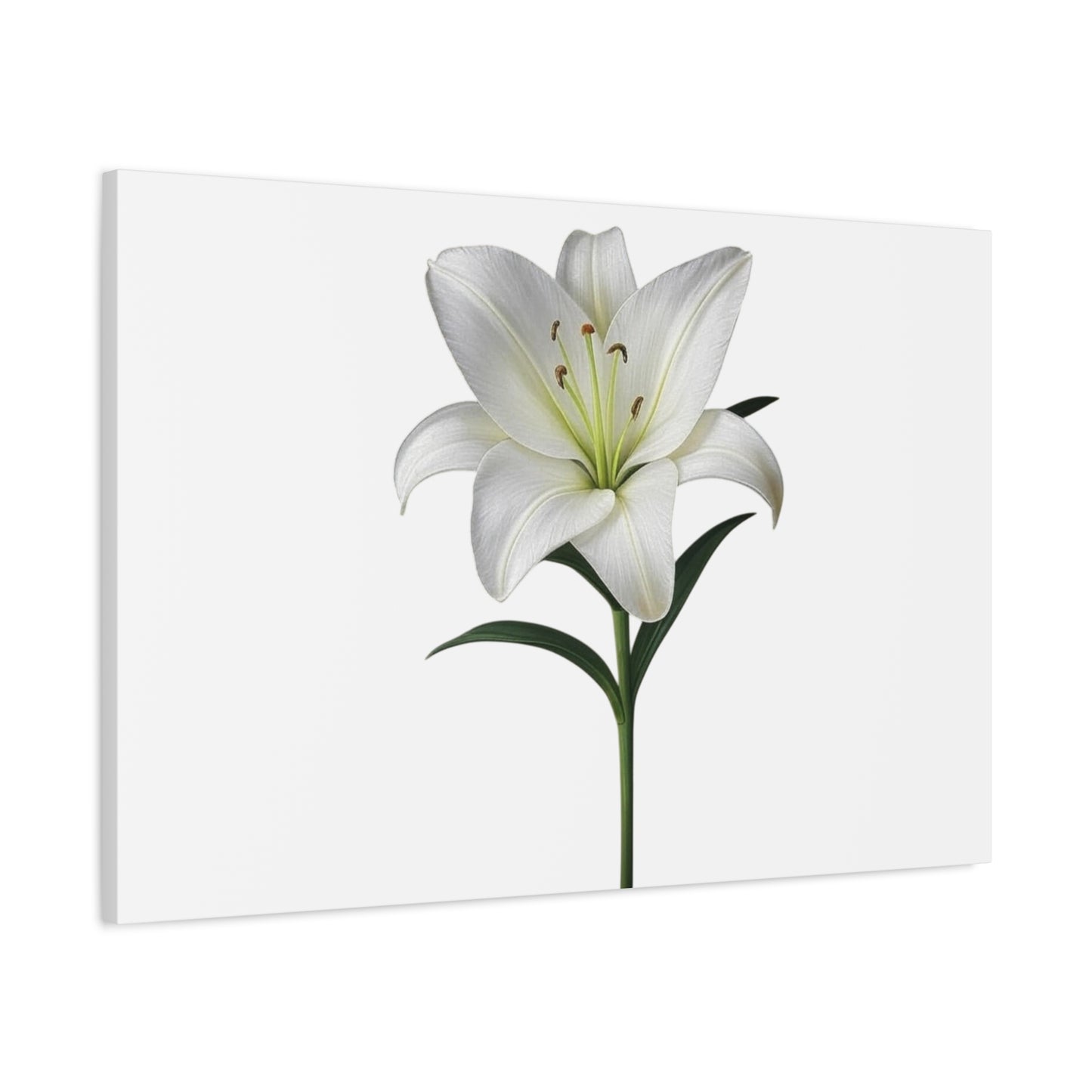 Lily Flower Canvas Wall Art
