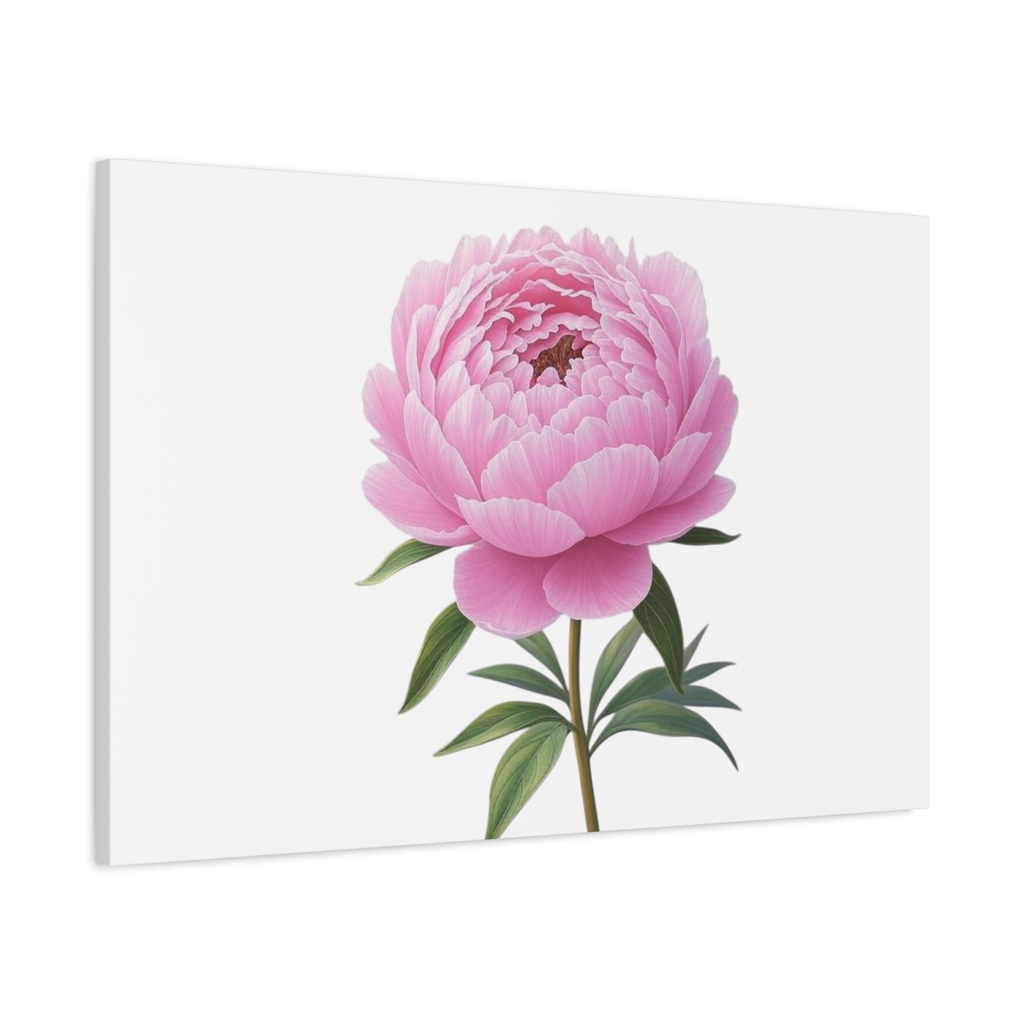 Peony Flower Canvas Wall Art