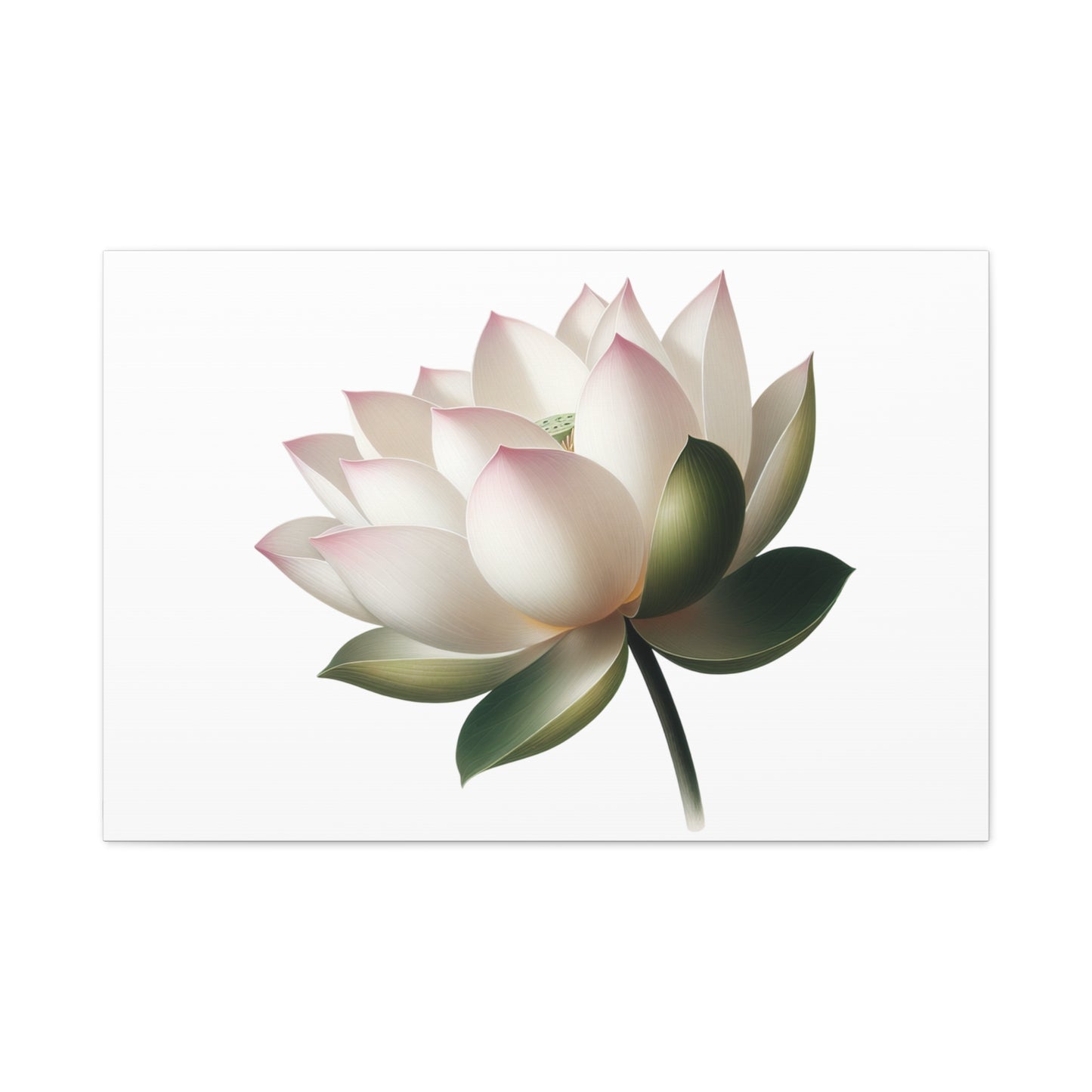 Lotus Flower Canvas Wall Art