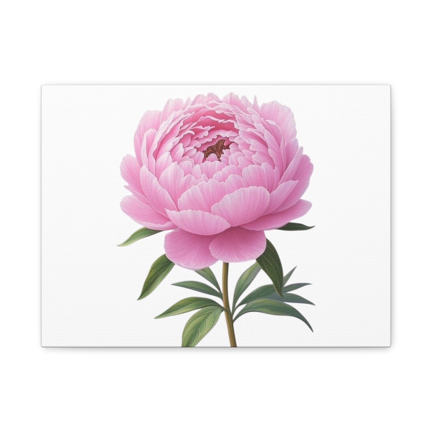 Peony Flower Canvas Wall Art