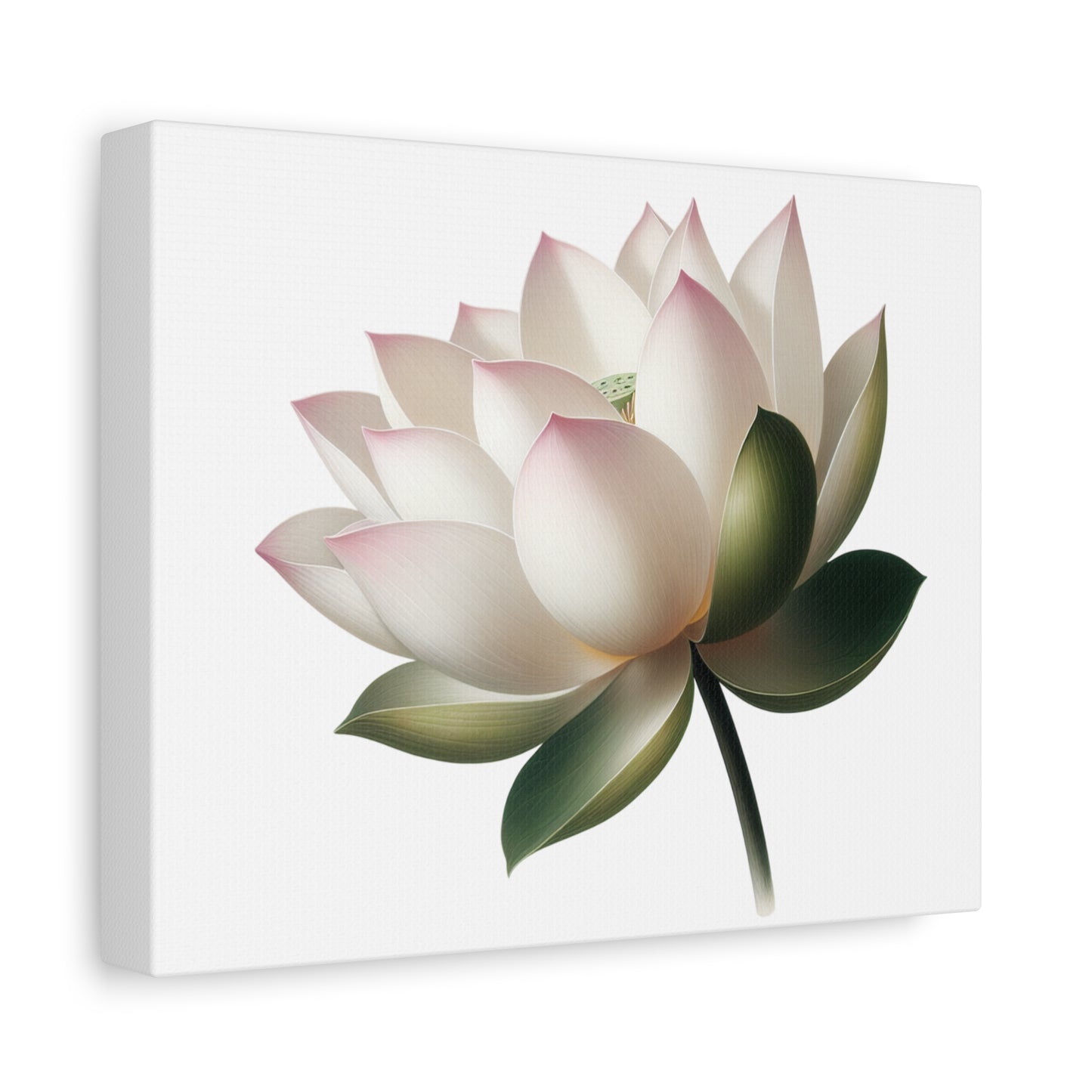 Lotus Flower Canvas Wall Art