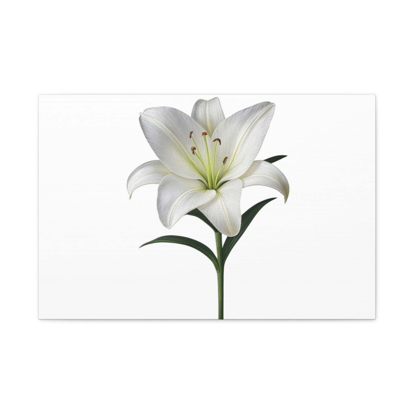 Lily Flower Canvas Wall Art
