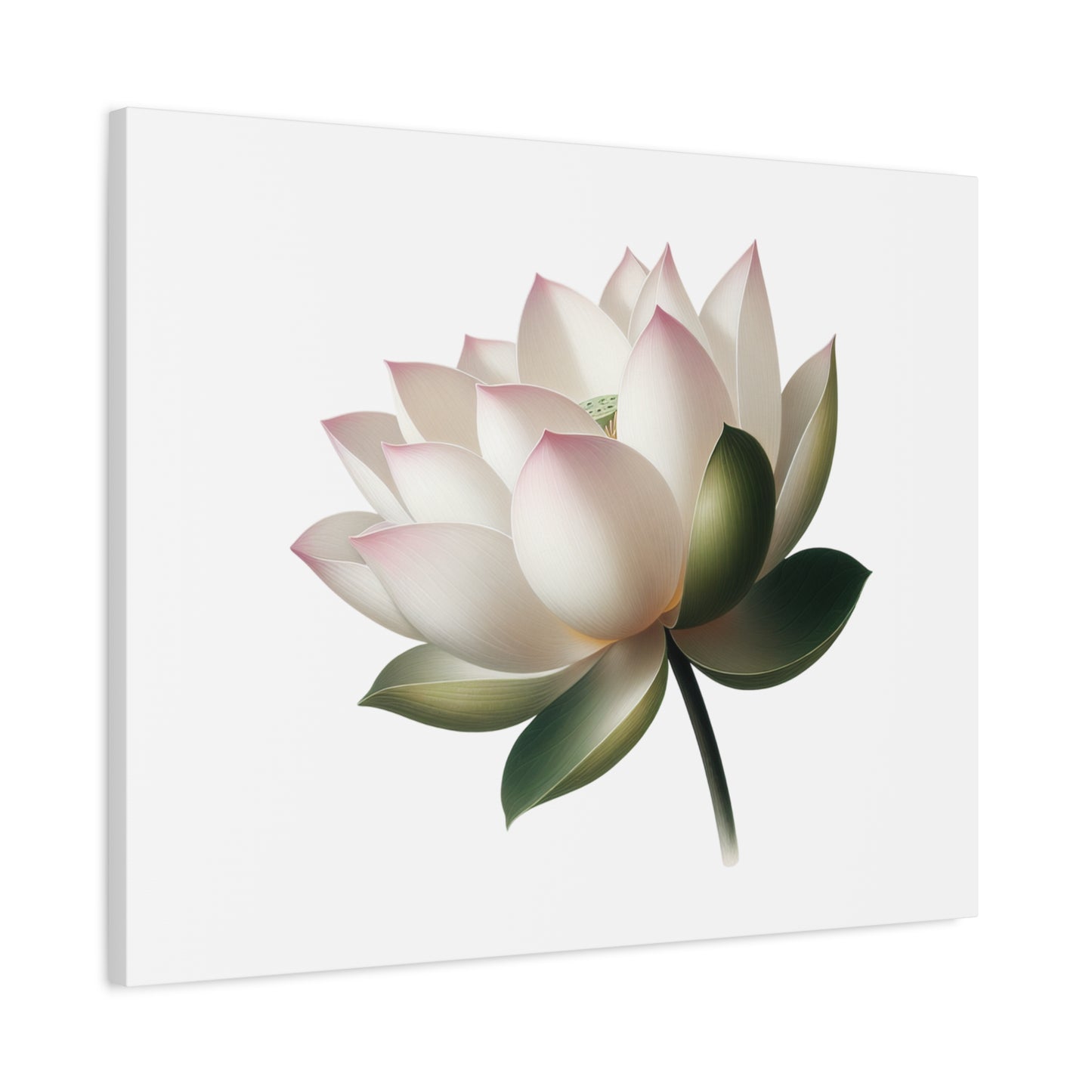 Lotus Flower Canvas Wall Art