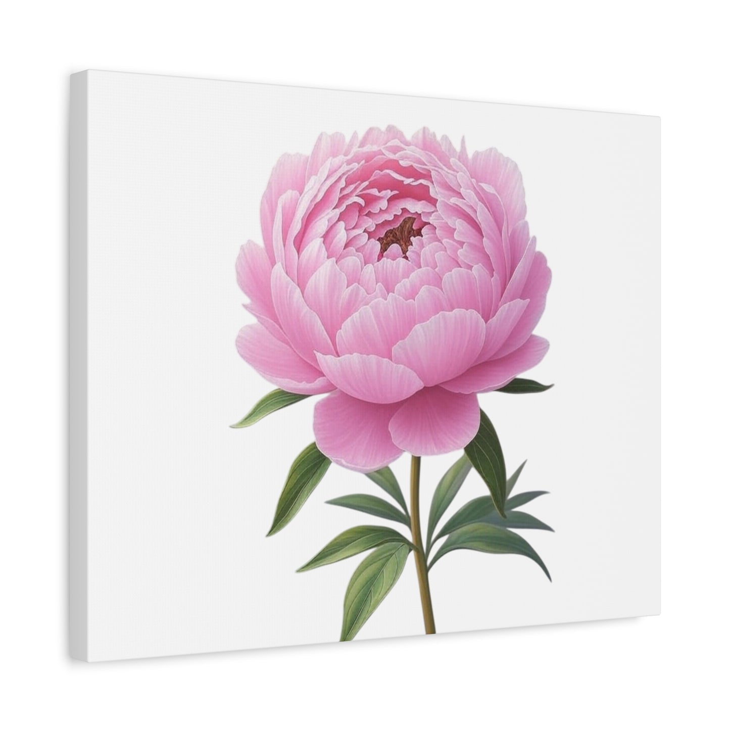 Peony Flower Canvas Wall Art