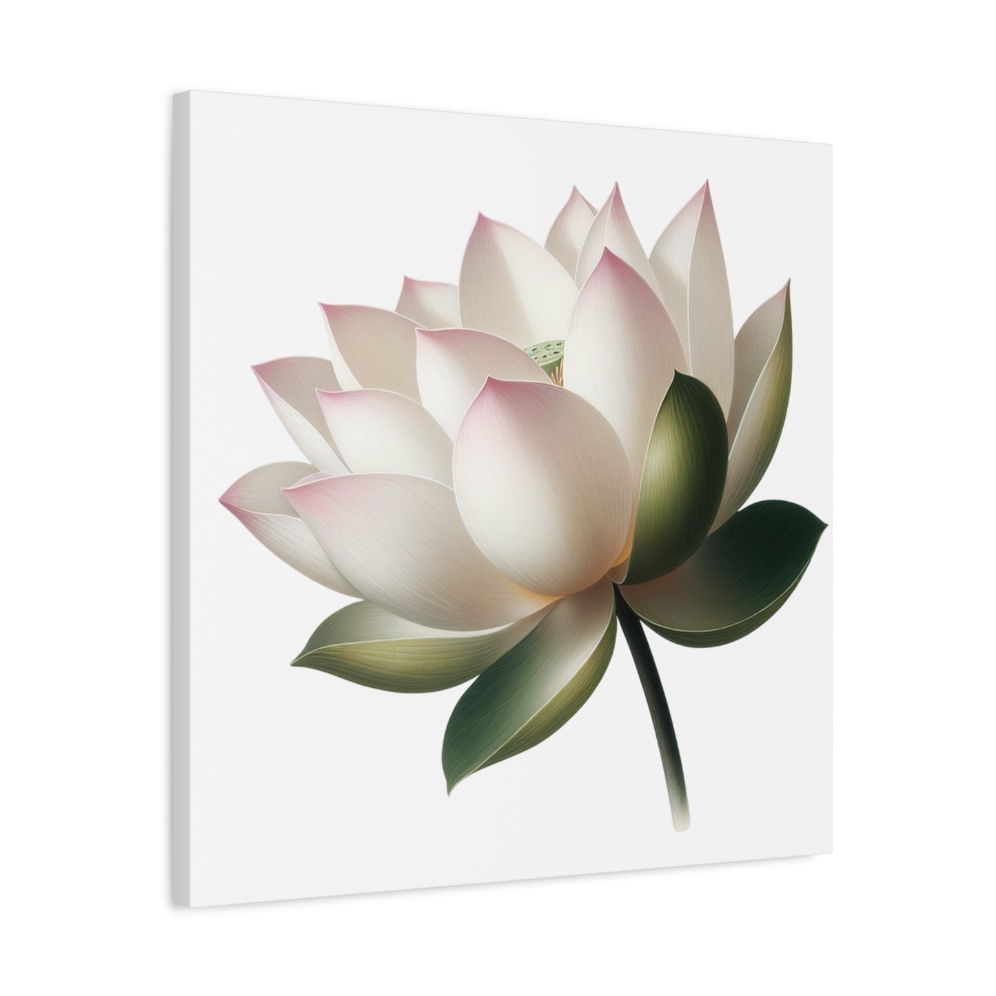 Lotus Flower Canvas Wall Art