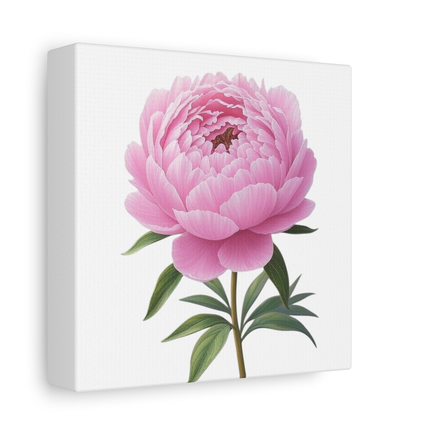 Peony Flower Canvas Wall Art