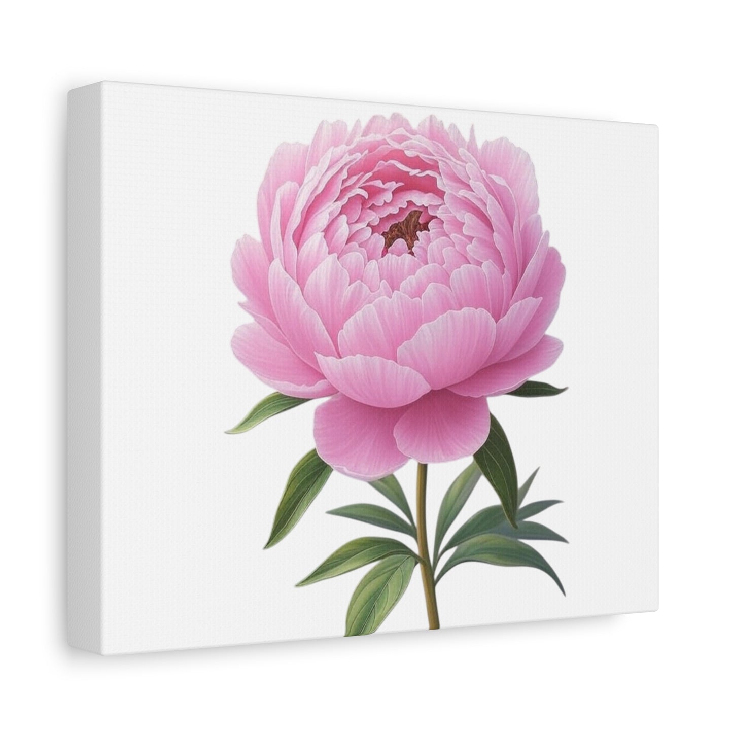 Peony Flower Canvas Wall Art