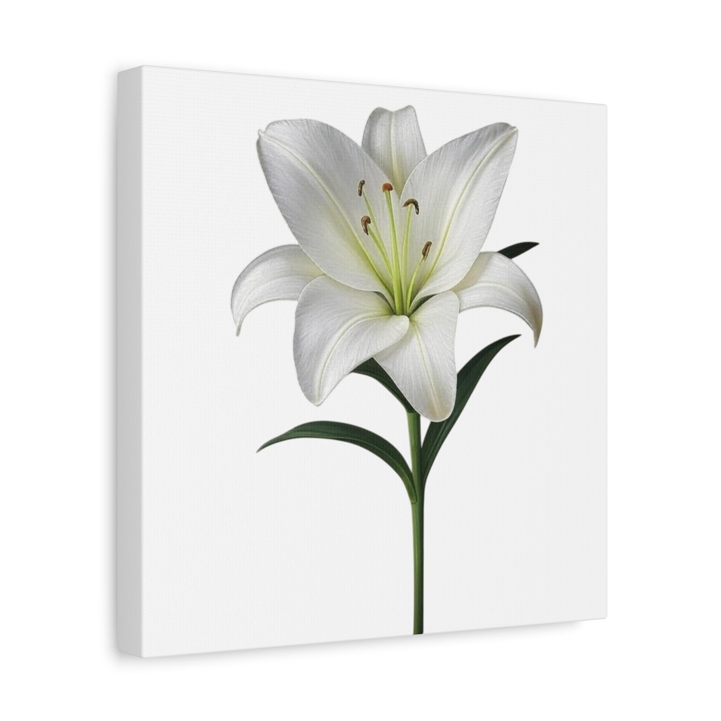 Lily Flower Canvas Wall Art
