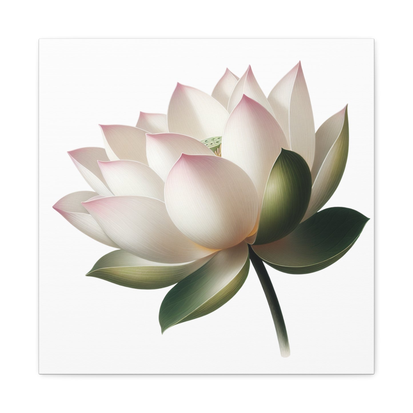 Lotus Flower Canvas Wall Art