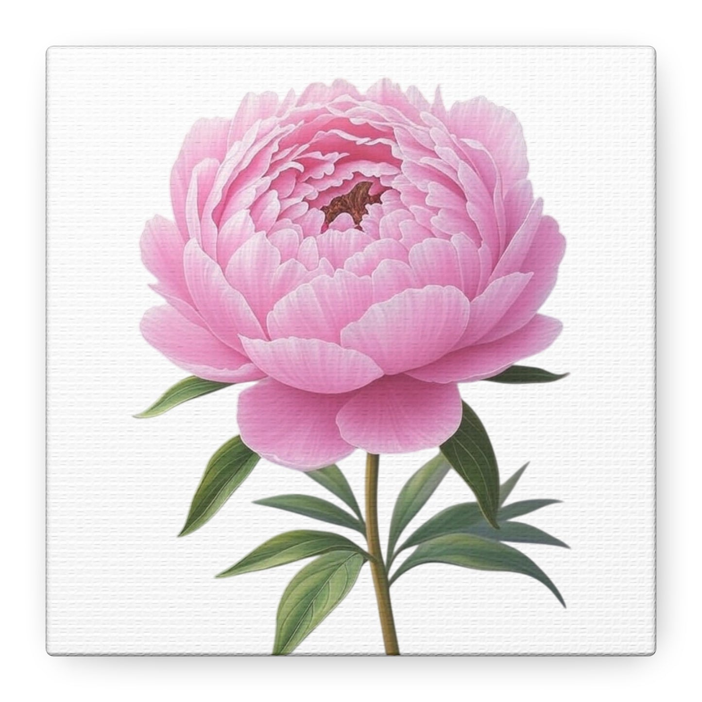 Peony Flower Canvas Wall Art