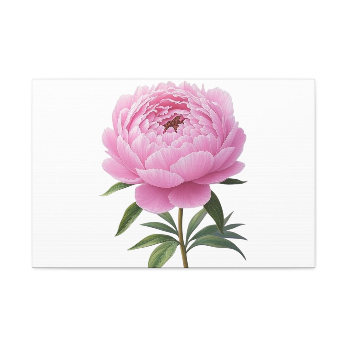 Peony Flower Canvas Wall Art