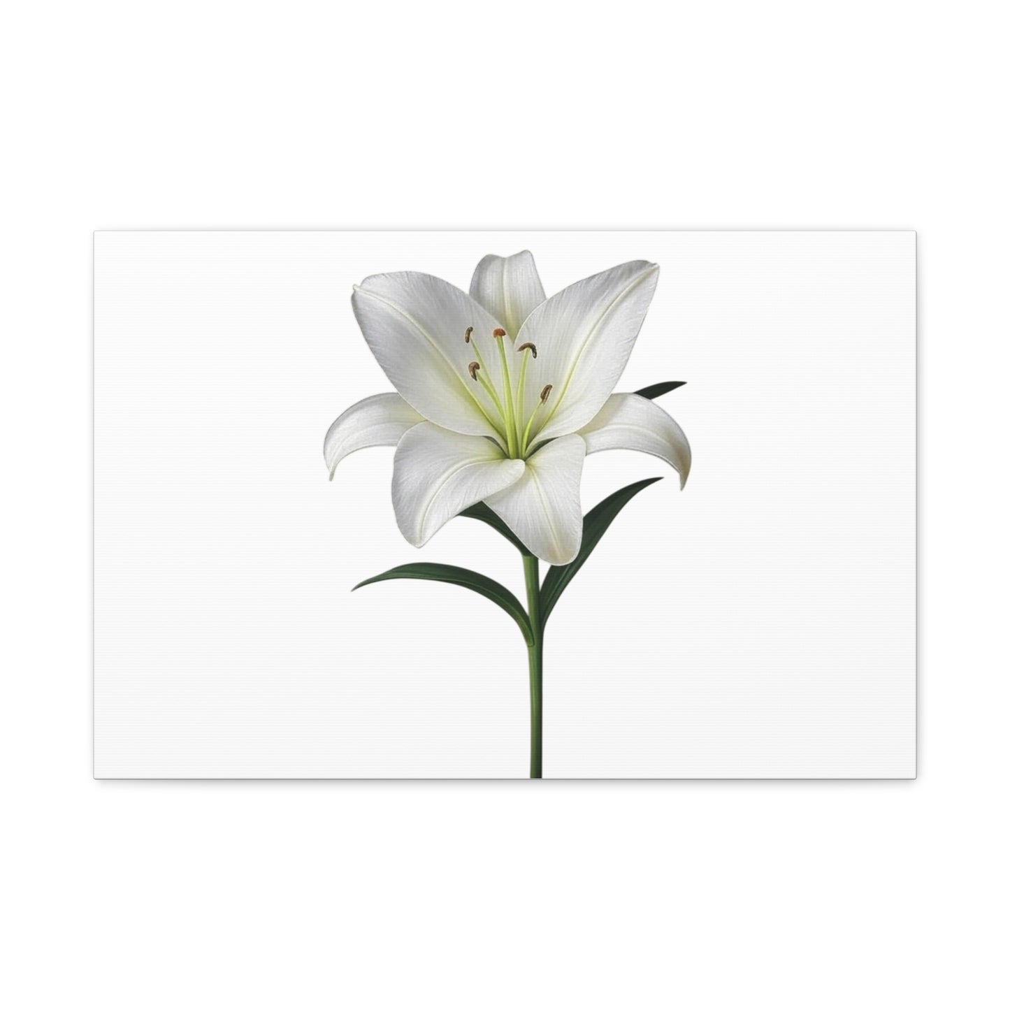 Lily Flower Canvas Wall Art