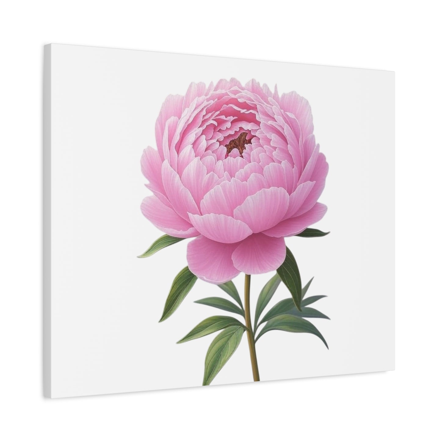 Peony Flower Canvas Wall Art
