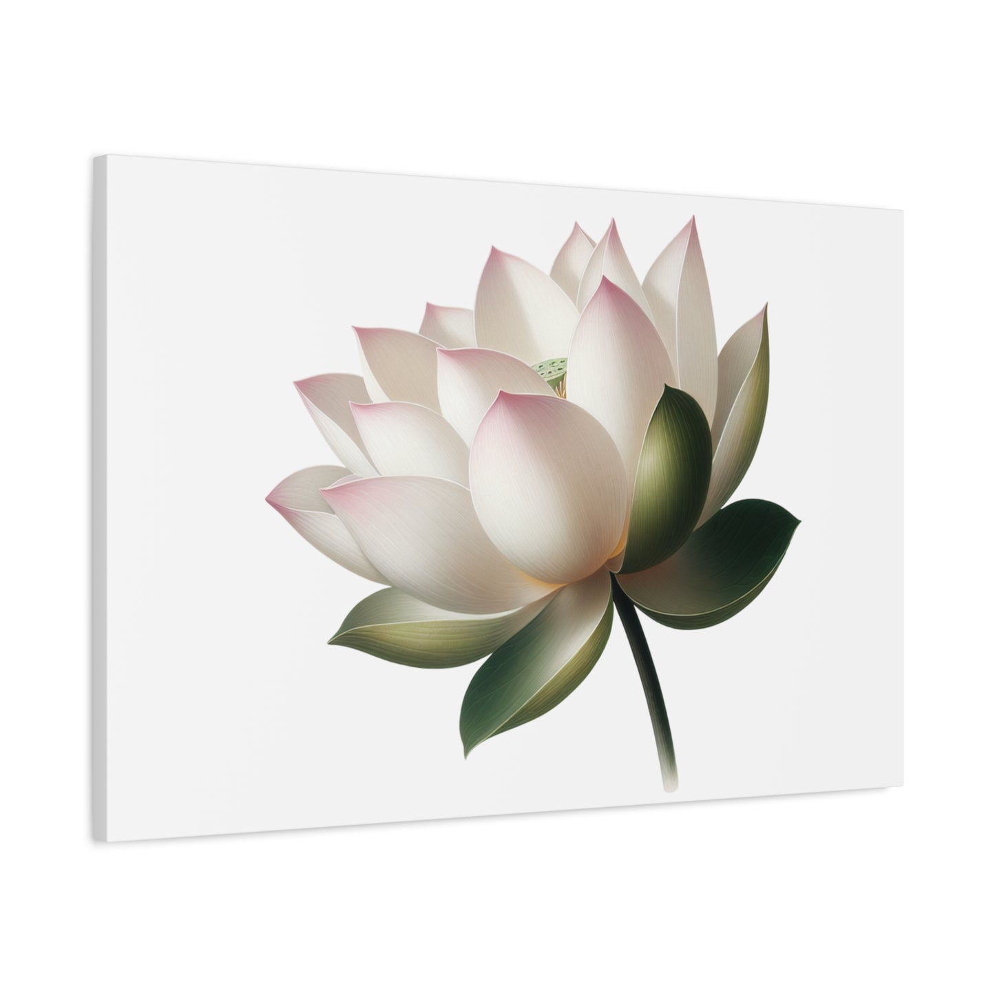 Lotus Flower Canvas Wall Art