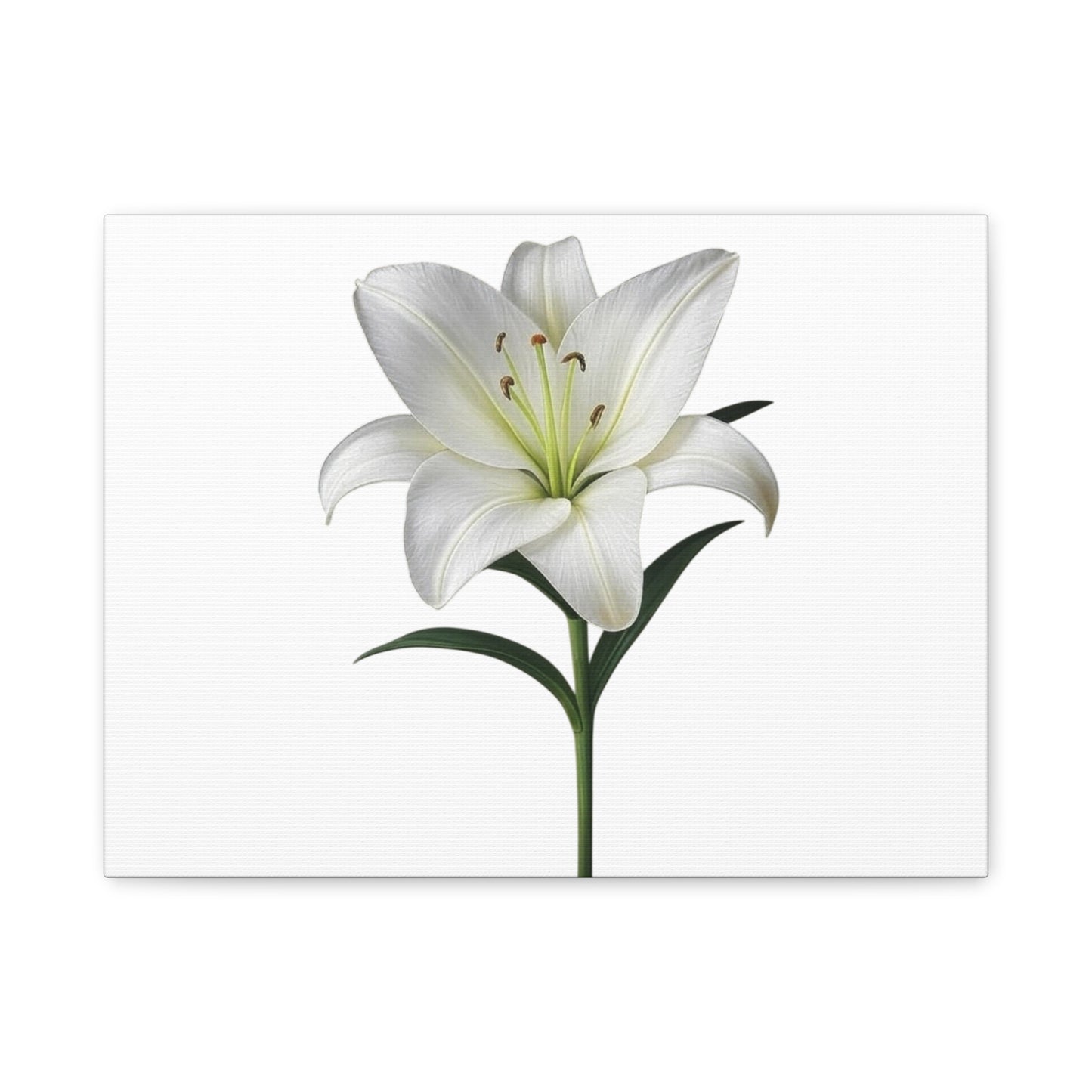 Lily Flower Canvas Wall Art