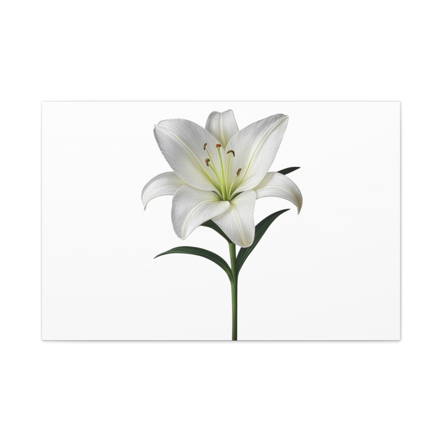 Lily Flower Canvas Wall Art