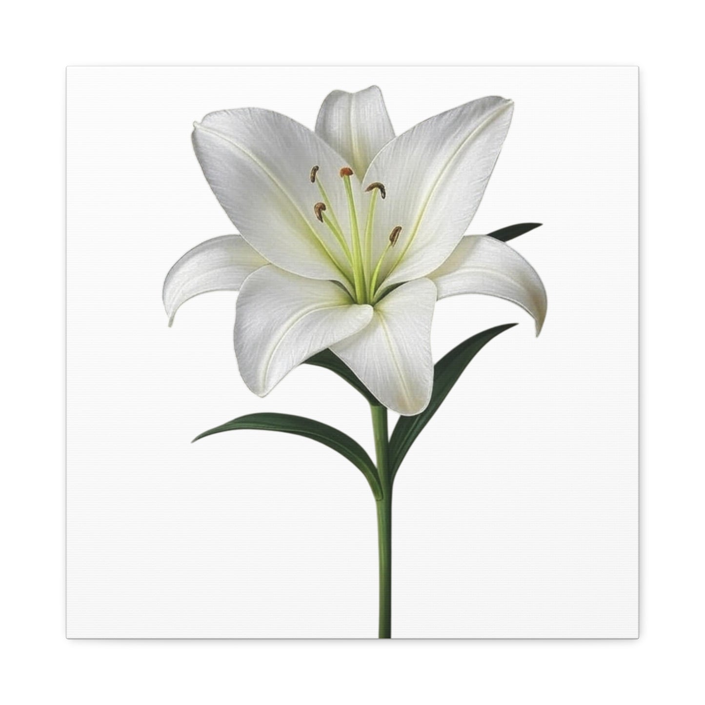 Lily Flower Canvas Wall Art