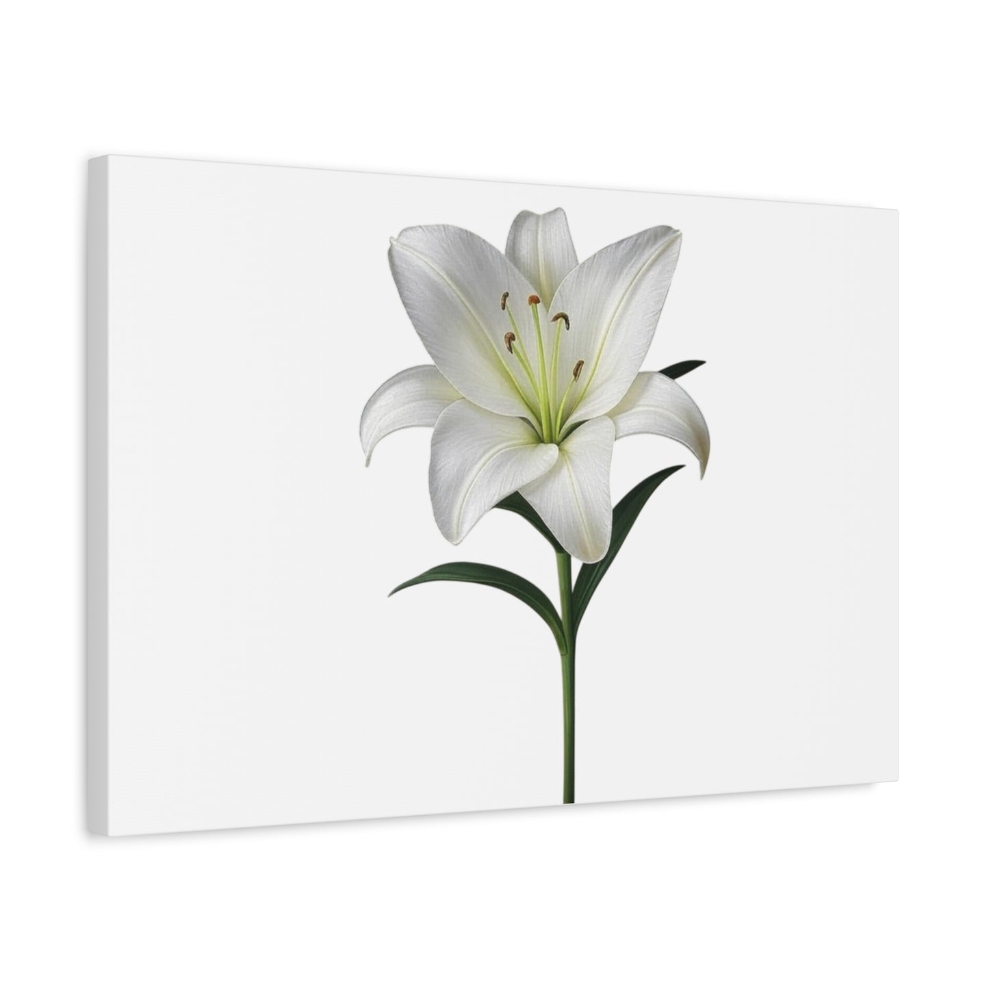 Lily Flower Canvas Wall Art