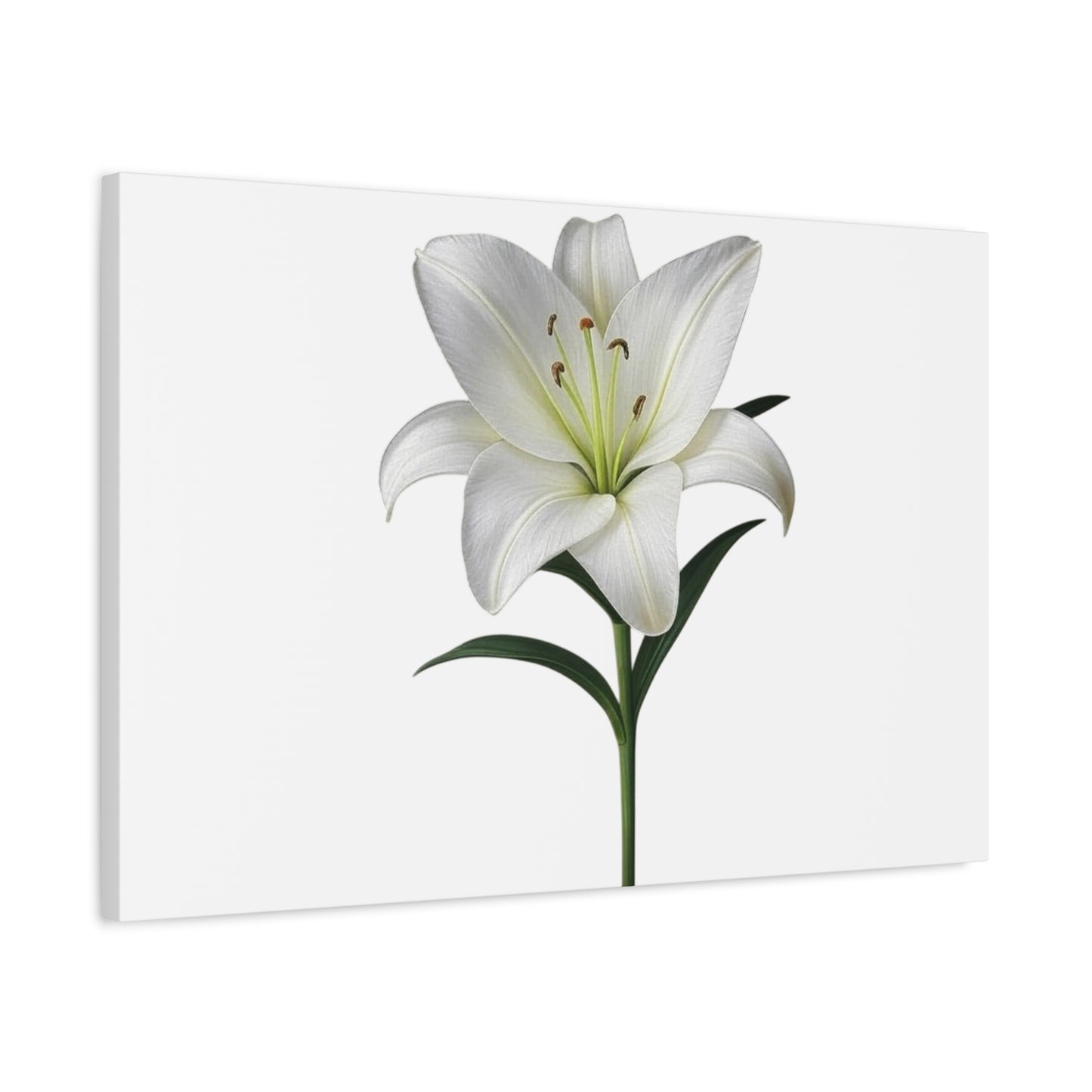 Lily Flower Canvas Wall Art