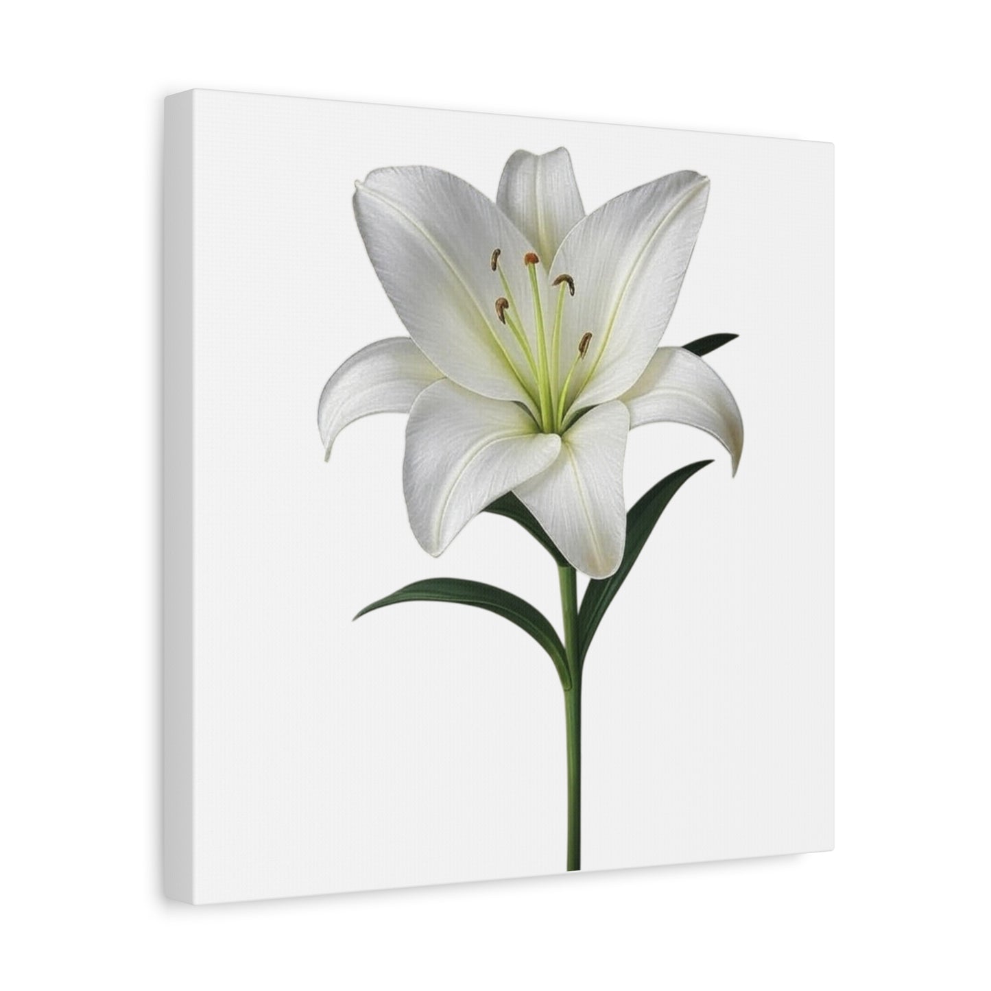 Lily Flower Canvas Wall Art