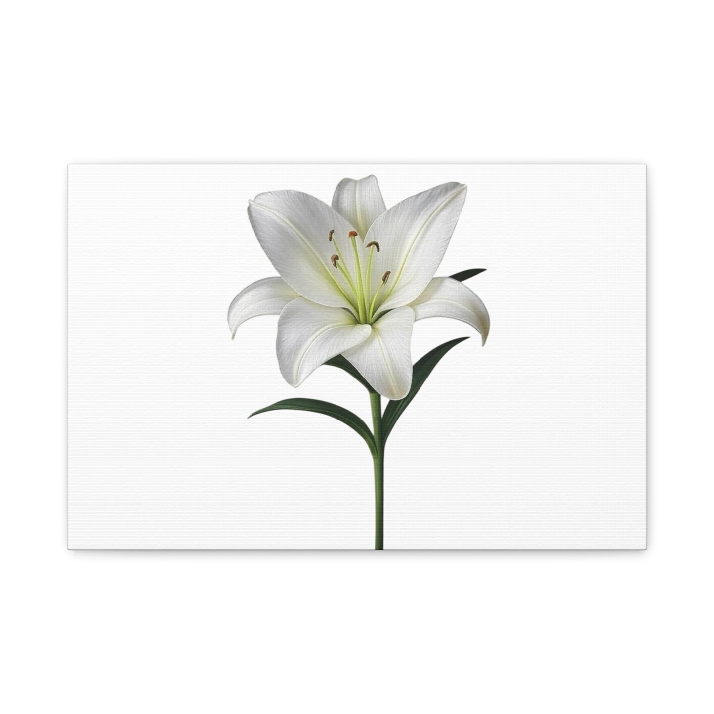 Lily Flower Canvas Wall Art