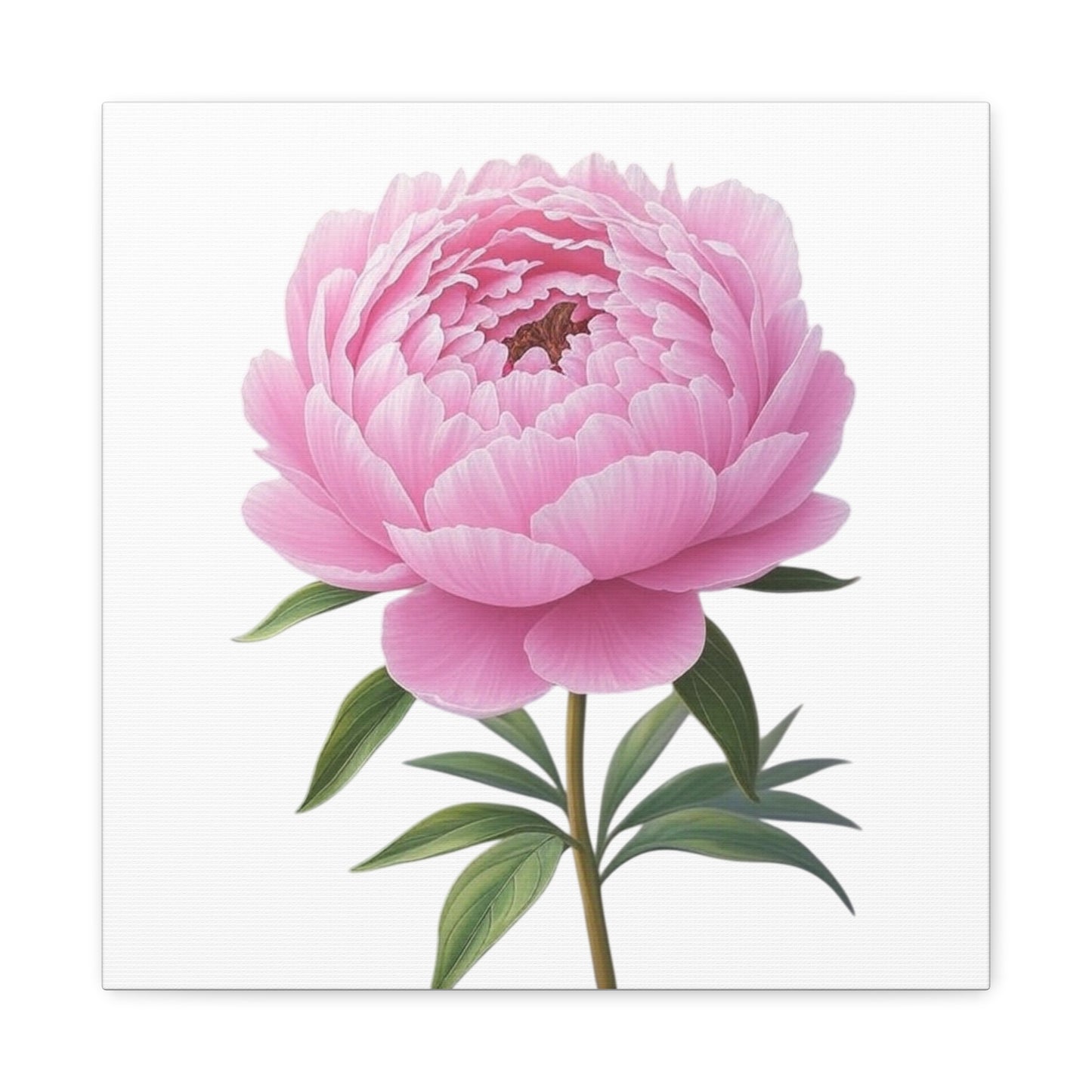 Peony Flower Canvas Wall Art