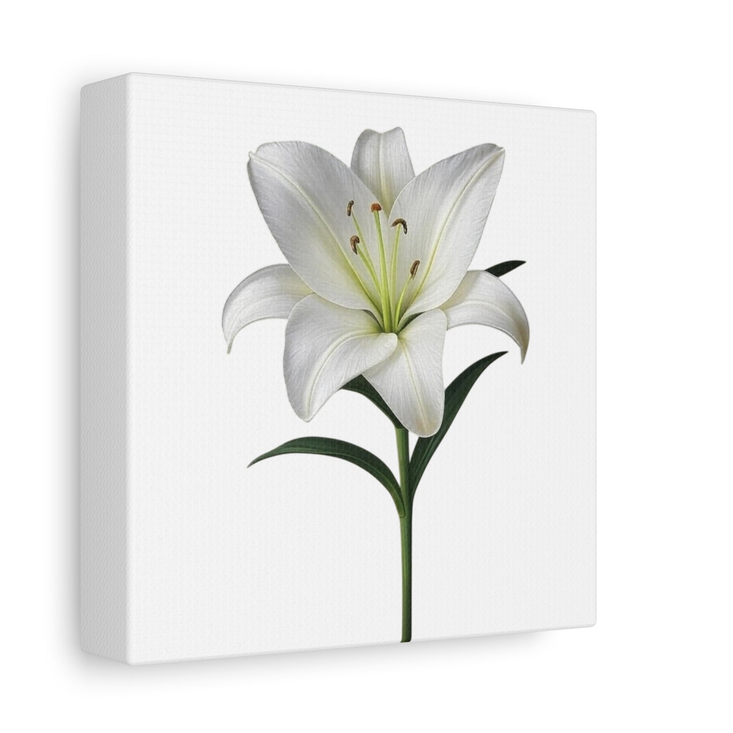 Lily Flower Canvas Wall Art