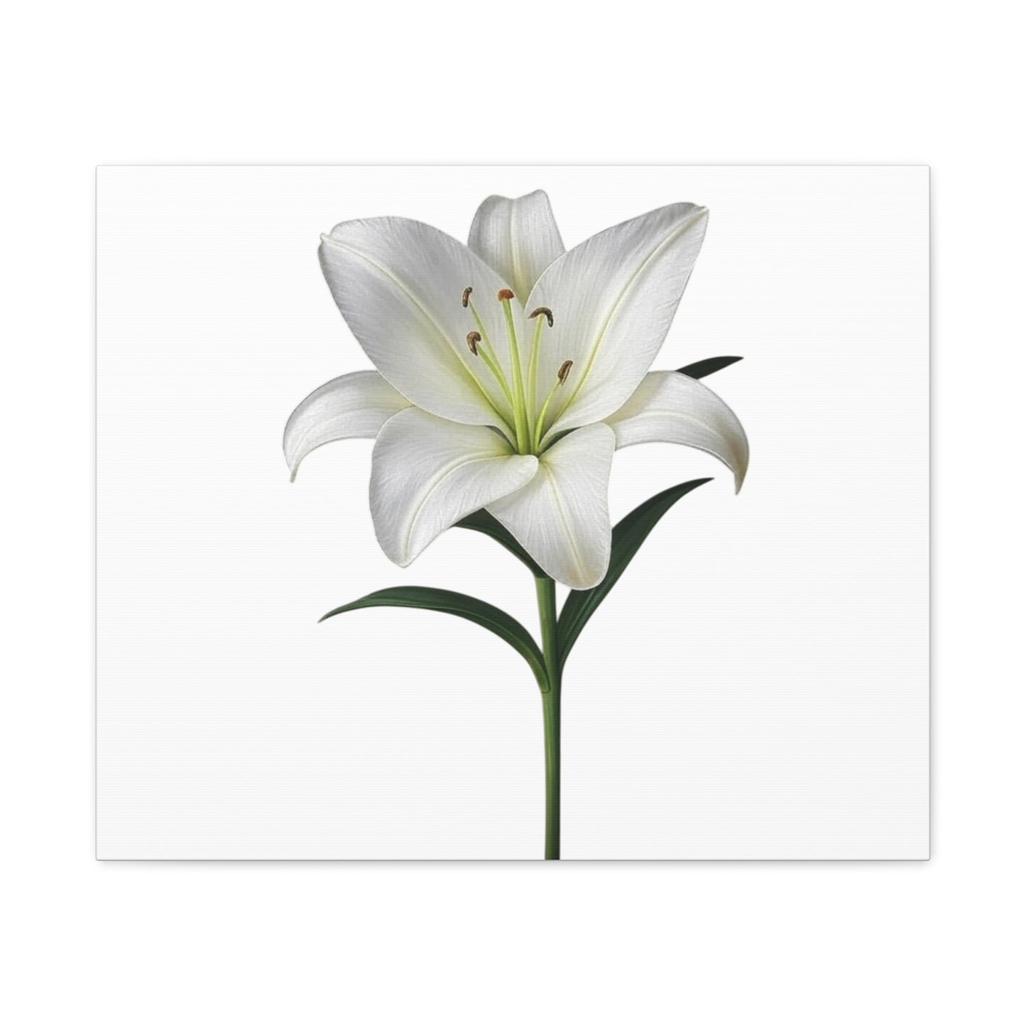 Lily Flower Canvas Wall Art