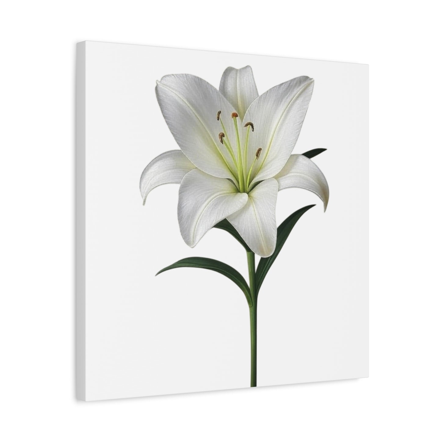 Lily Flower Canvas Wall Art