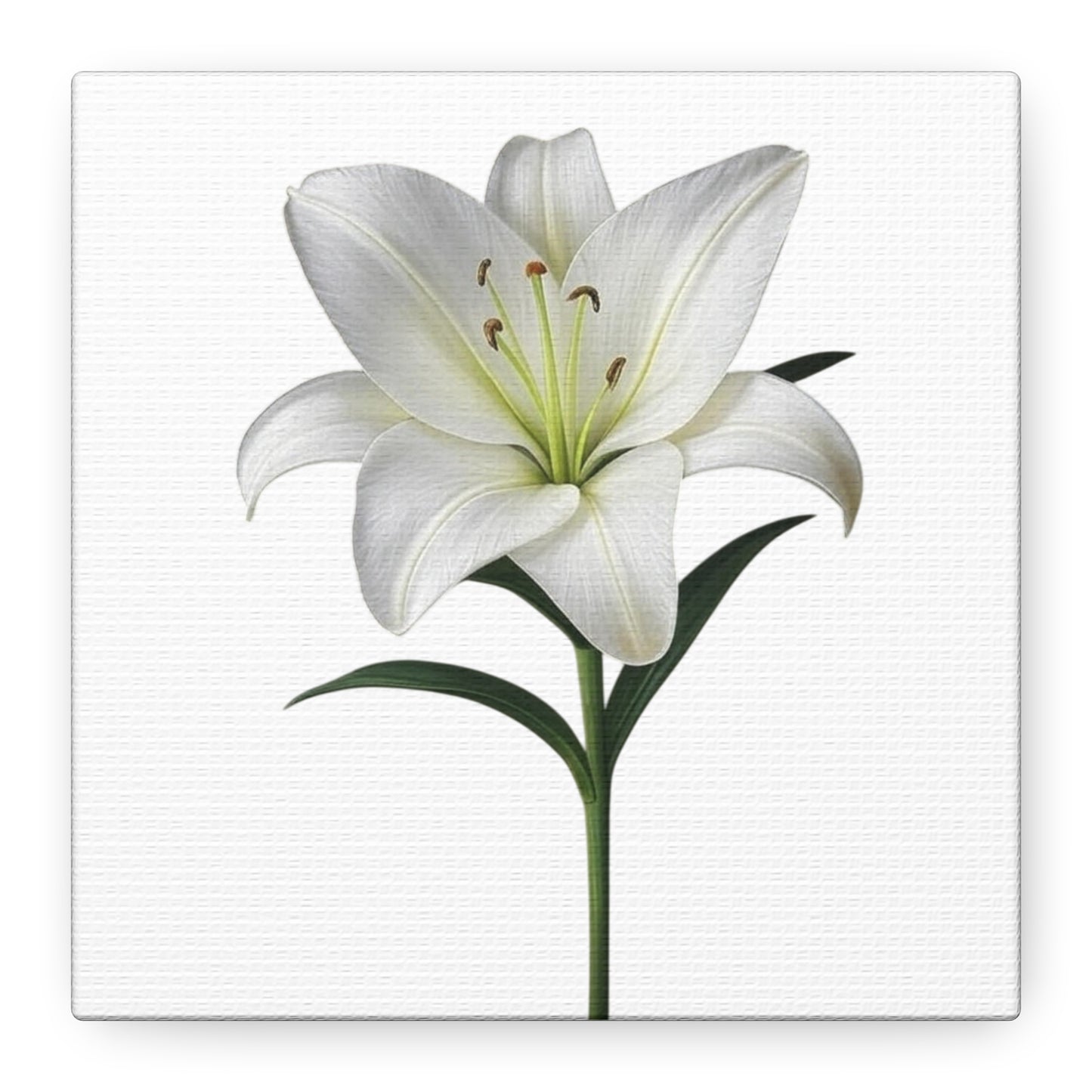Lily Flower Canvas Wall Art
