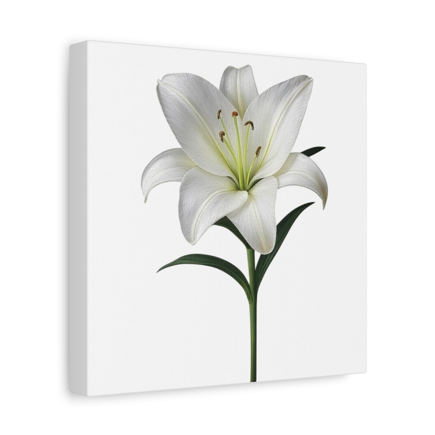Lily Flower Canvas Wall Art