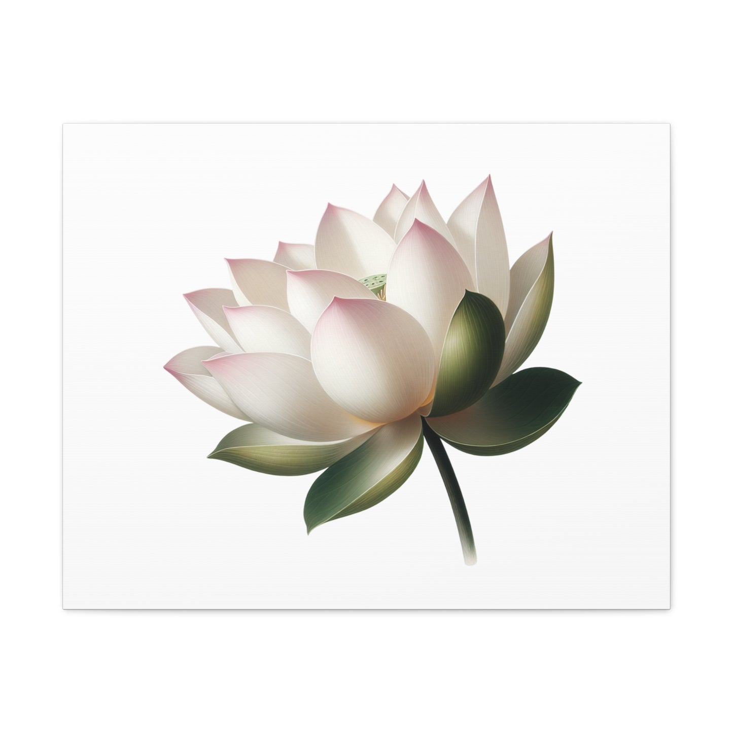 Lotus Flower Canvas Wall Art
