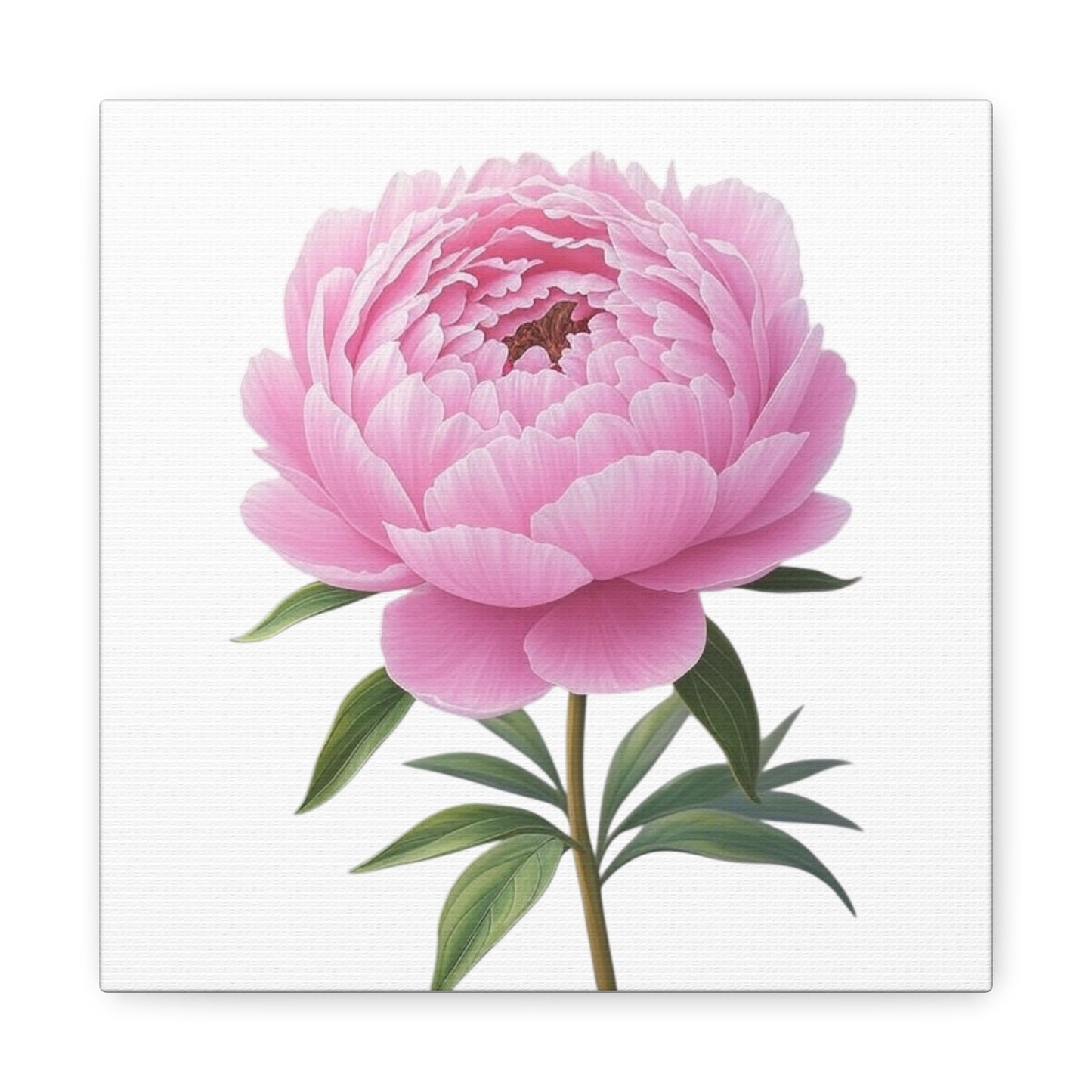 Peony Flower Canvas Wall Art