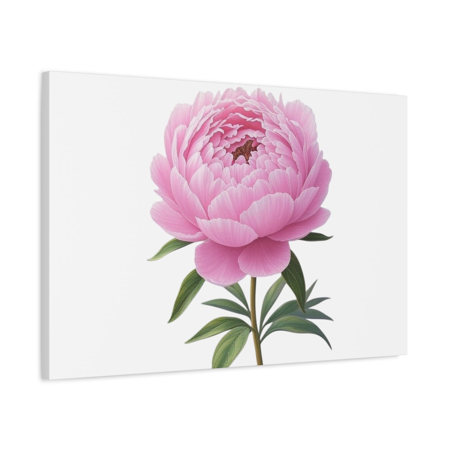 Peony Flower Canvas Wall Art