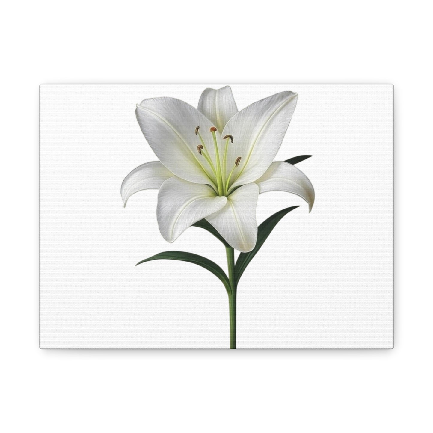Lily Flower Canvas Wall Art