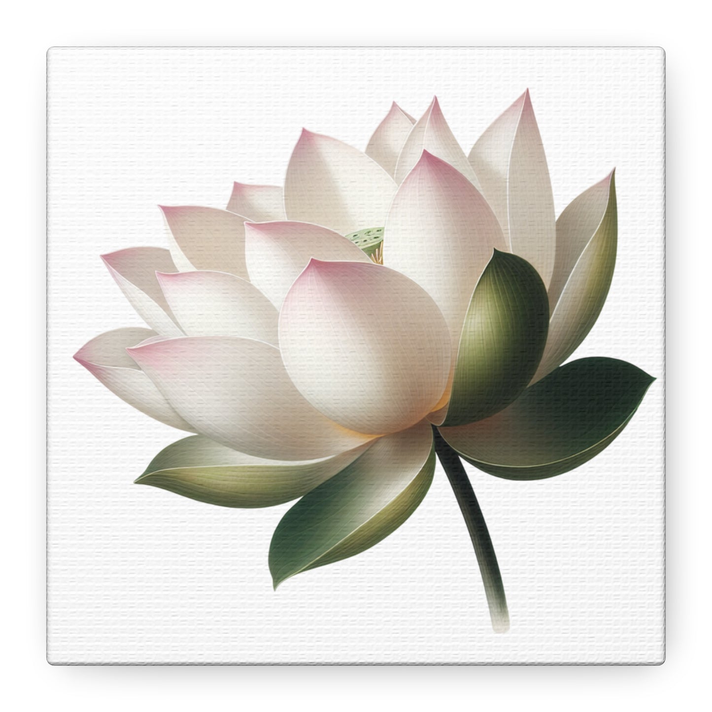 Lotus Flower Canvas Wall Art