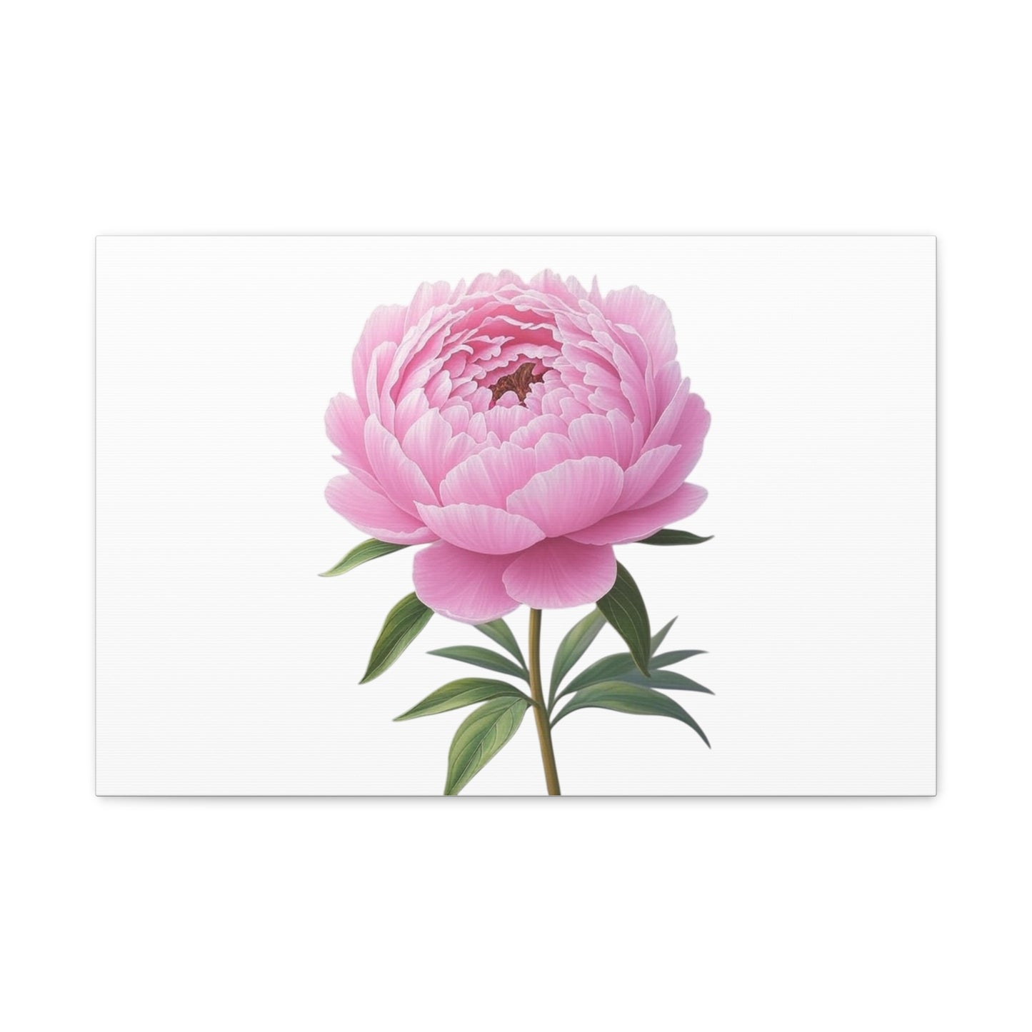 Peony Flower Canvas Wall Art