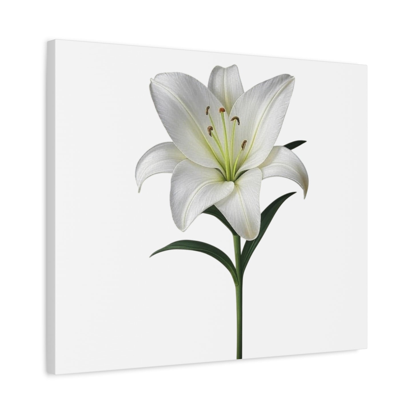 Lily Flower Canvas Wall Art