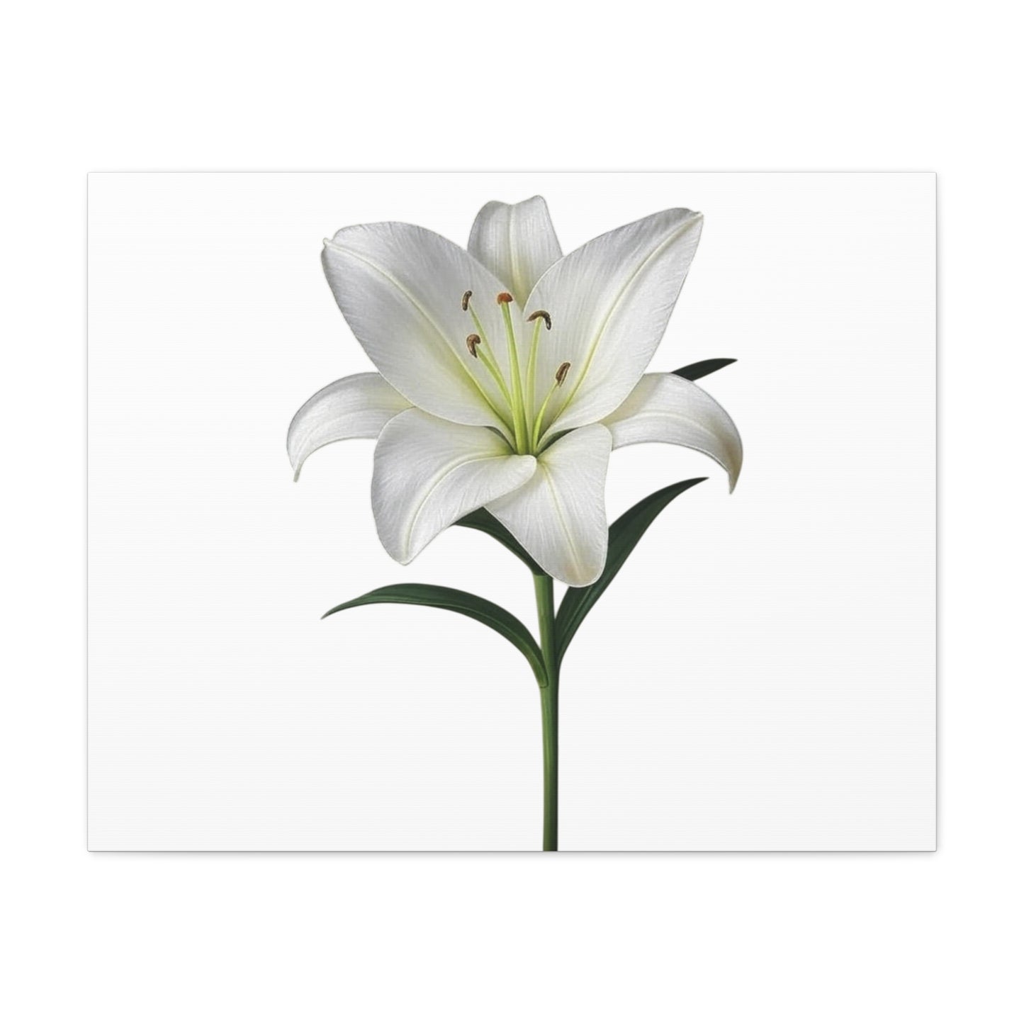 Lily Flower Canvas Wall Art