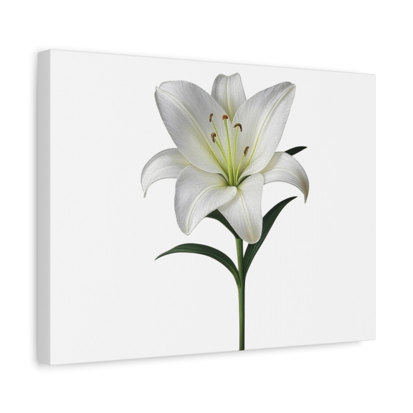 Lily Flower Canvas Wall Art
