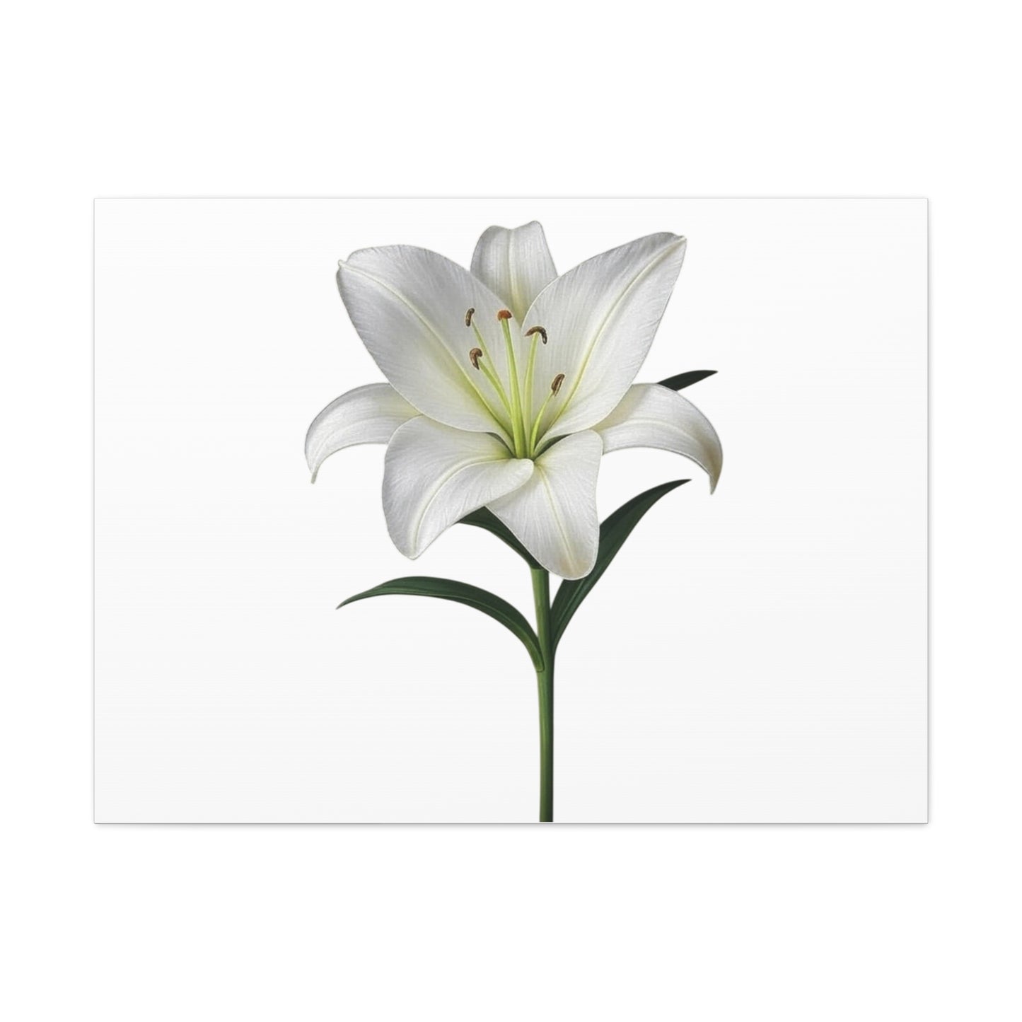 Lily Flower Canvas Wall Art