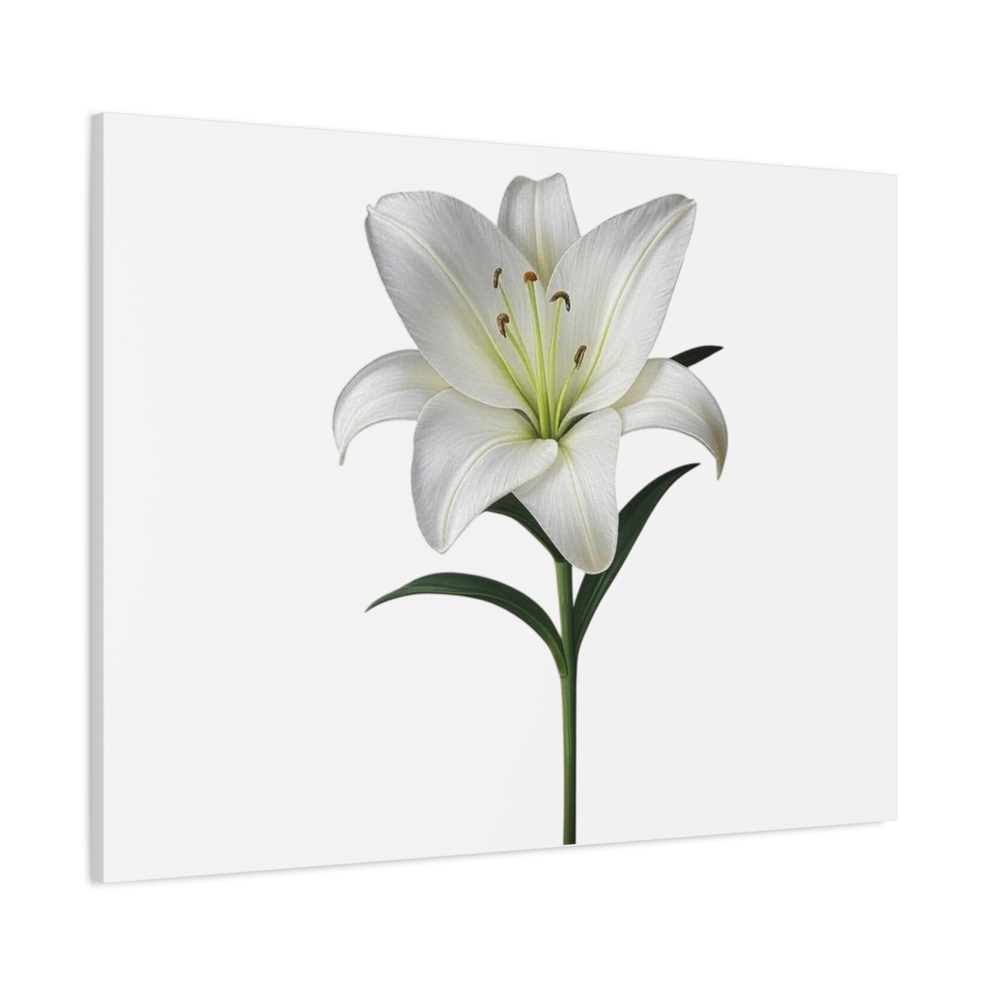 Lily Flower Canvas Wall Art