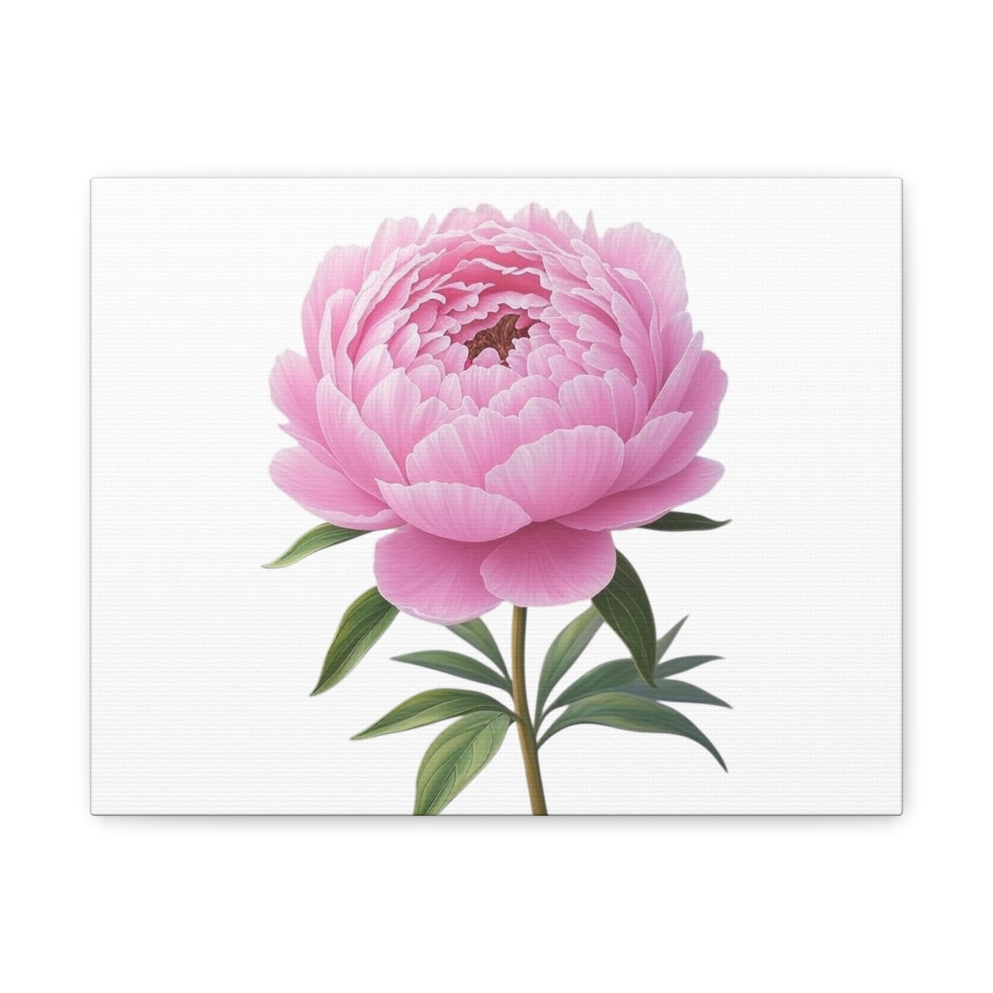 Peony Flower Canvas Wall Art